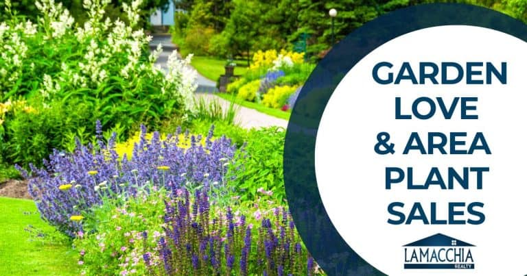 garden amesbury blog