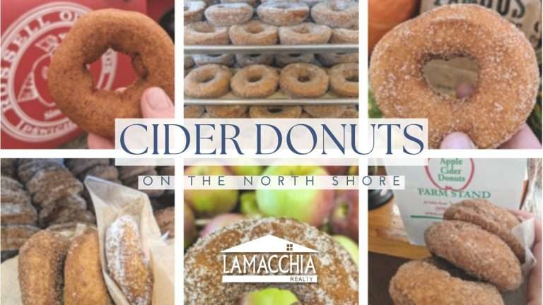 NBPT Cider Donut Blog