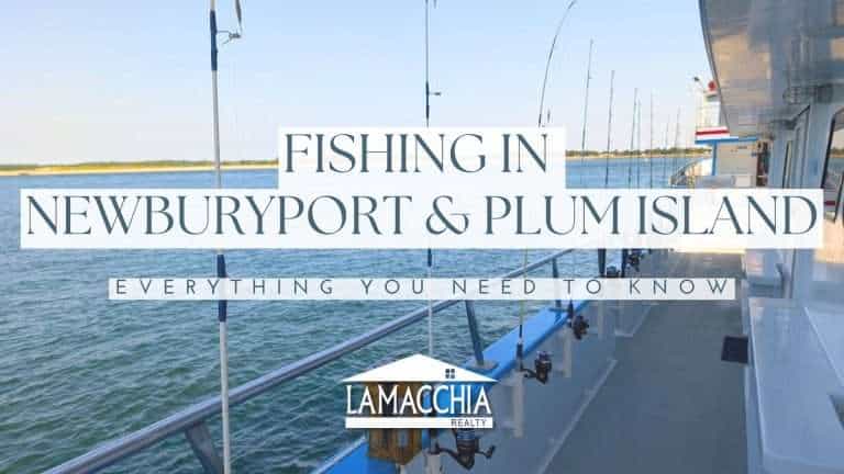 newburyport fishing blog