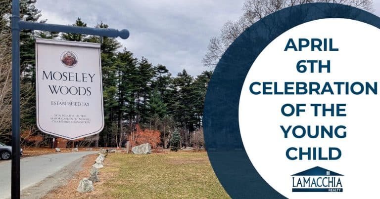 the young child amesbury/newburyport blog fi 0425